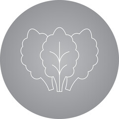Lettuce single vector icon illustration