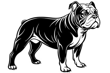 Fototapeta premium Eye-Catching Bulldog Vector Design