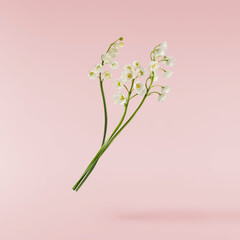 Beautiful Lily of the valley flower falling in the air isolated on pink background. levitation or zero gravity floral conception. High resolution image.