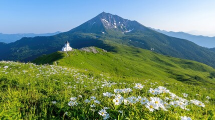 Mountaintop church, wildflowers, scenic vista. Possible use Stock photo