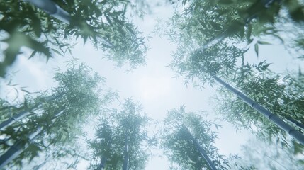 Fototapeta premium Mist-Covered Bamboo Grove with Towering Stalks Creating Tunnel Light