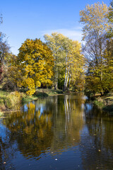 A serene forest scene with tall green trees by a calm lake, reflecting the blue sky with a few white clouds. The vibrant foliage suggests the early autumn season, full of natural beauty.