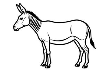Fototapeta premium Realistic Onager Vector Illustration for Creative Designs