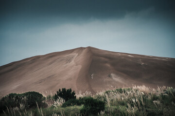Sand dune in green grassland