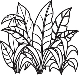jungle foliage line art, black outline, vector and illustration, line art and outline