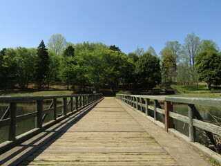 Fototapeta premium extending strong wooden bridge from perspective of the person showing the magnificent view of lake