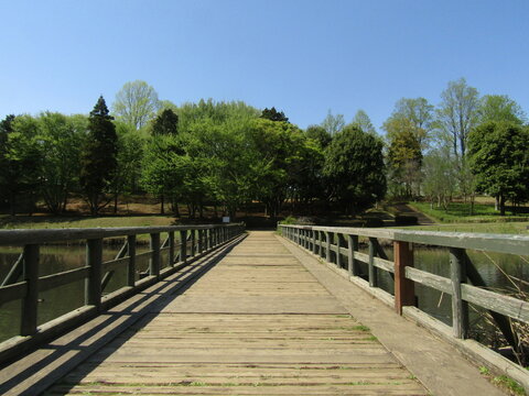extending strong wooden bridge from perspective of the person showing the magnificent view of lake