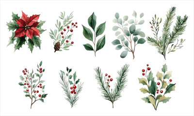 Festive Watercolor Illustration of Christmas Foliage with Holly, Berries, Pine Branches, and Poinsettia on a White Background