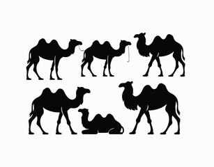 Camel Silhouette Art EPS Vector Template Illustration