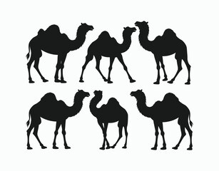 Desert Camel Silhouette Vector Template