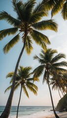 Obraz premium Palm trees grow tall on beach near ocean under blue sky. Green leaves sway near sand and clear water during bright daylight hours.
