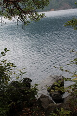 Blue Clear Lake water with trees around