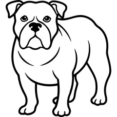 Bulldog black line art vector, Simple bold outline Design vector icon with white background. Pet animal vector 