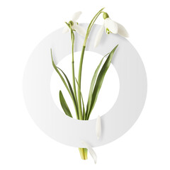 Beautiful Snowdrop flower with green leaves falling in the air isolated on white background. Spring...