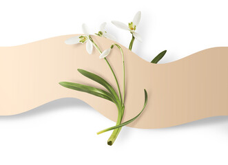 Beautiful Snowdrop flower with green leaves falling in the air isolated on white background. Spring...