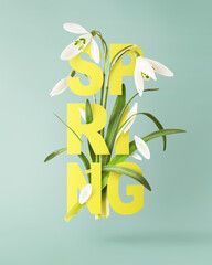 Beautiful Snowdrop flower with green leaves falling in the air isolated on turquoise background....