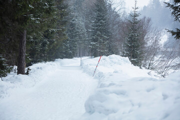 Snow covered mountain path through trees next to a river