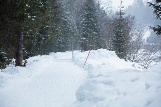 Snow covered mountain path through trees next to a river