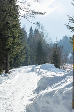 Snow covered mountain path through trees next to a river