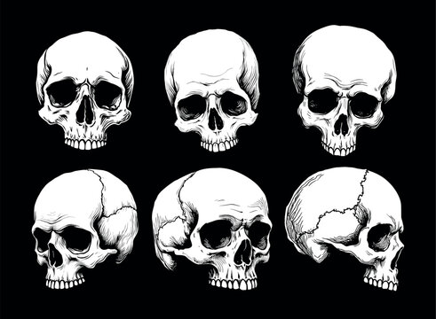 White vector human skull from different angles illustration set on black background. Detailed anatomical drawing collection.