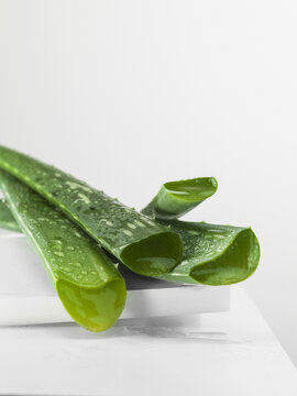 Group of Aloe Vera plants, with a few cut open to show the inside.