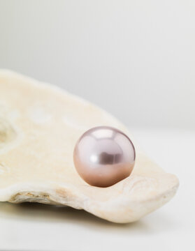 Pearl sitting inside of a shell studio still