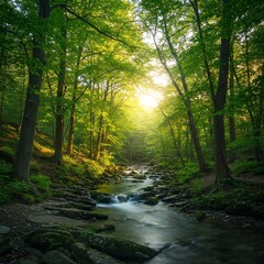 Obraz premium Donde el agua susurra y los árboles cantan