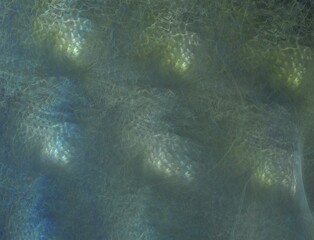 Imaginatory fractal abstract background Image