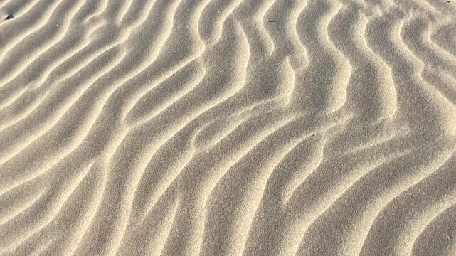Close up of desert volcanic sand pattern texture background in Montana Pelada beach,
Tenerife,Canary Islands,Spain,4K