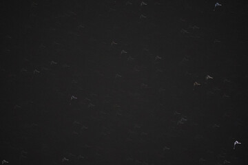 Fototapeta premium Squiggly star motion pattern looking like someones signature as an abstract pattern in night sky
