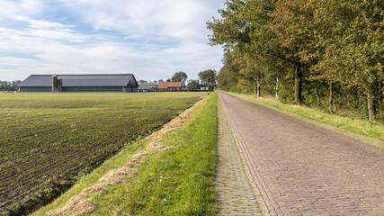 Old farmhouse with large modern stables with solar panels at the countryside of Drenthe The...