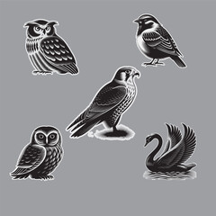  bird, animal, birds, nature, vector, illustration, cartoon, Adobe Illustrator Artwork