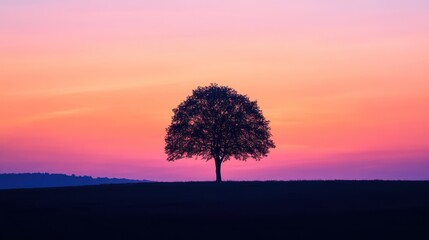 Obraz premium A single tree stands alone during a vibrant colorful sunset