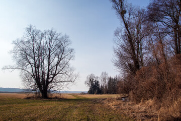 Przedwiośnie w Dolinie G&oacute;rnej Narwi, Podlasie, Polska