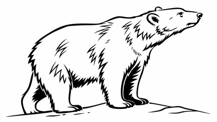 Fototapeta premium Powerful Bear Line Art Illustration Black and White Wildlife Sketch of a Majestic Grizzly Walking in Nature