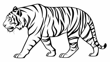 Obraz premium Graceful Tiger Line Art Illustration Black and White Wildlife Sketch of a Striped Big Cat Walking in Nature
