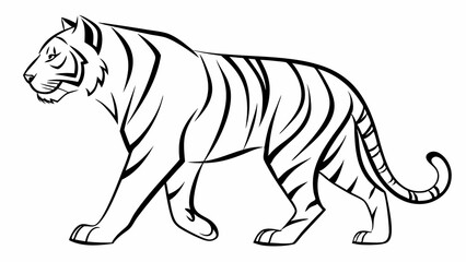 Obraz premium Bold Tiger Line Art Illustration Black and White Wildlife Sketch of a Majestic Striped Big Cat Walking