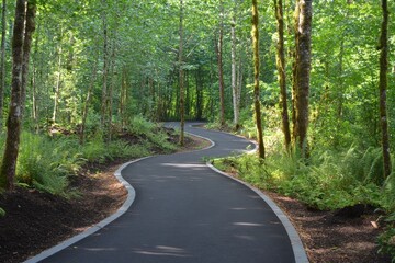 Obraz premium Serene Greenway Pathway Winding Through Lush Forest Landscape in Summer