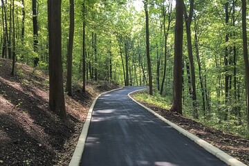 Naklejka premium Serene Greenway Trail Winding Through Lush Forests and Majestic Trees