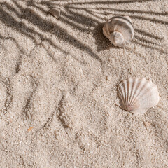 Aesthetic natural summer vacation and resort background, beach sand and sea shells with tropical palm tree leaves sunlight shadows, square template for social media