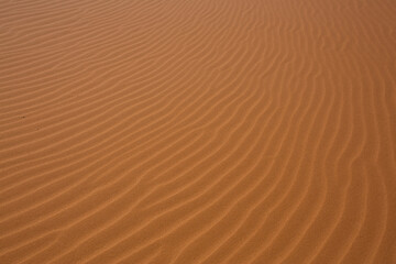 Patterns in sand dunes in Utah.