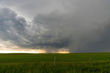 Dramatic supercell thunderstorm looming over green field