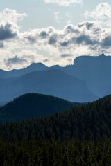 Obraz premium Majestic mountain peaks loom over evergreen forest under cloudy sky