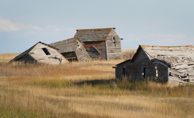 Fototapeta premium Abandoned farm houses crumbling in a field of prairie grass