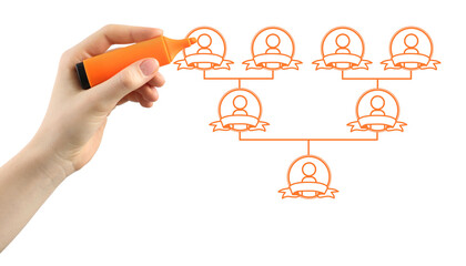 Woman drawing family tree on white background. Scheme with human figures