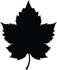 Maple Leaf silhouette vector illustration isolated white background. Crisp Silhouette of a Maple Leaf – Iconic Nature Symbol Representing Canadian Heritage and Autumn Vibes