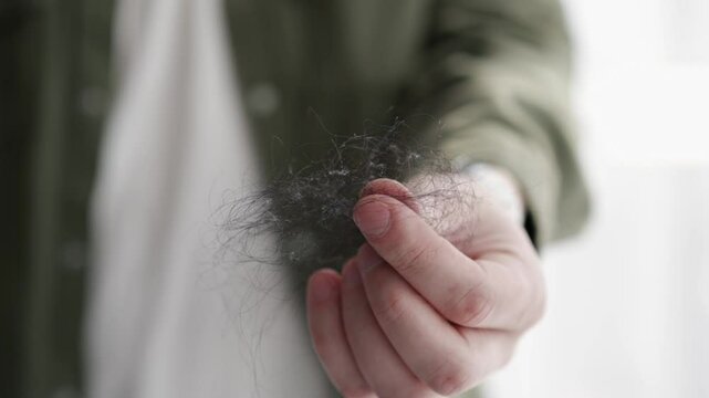 Close-up of a ball of hair in hands.
Hair loss.
A man holds a woman's hair in his hands.
Womanish black hair.
Hair, dust, dirt, lump