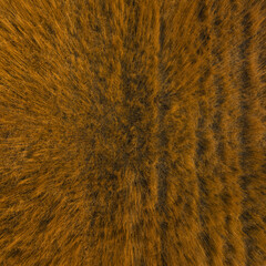 nadir texture and full-frame background of moved dry straw field, directly above view