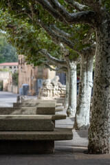 Peaceful daytime view of stone benches and trees lining quiet street in a historic town Soria, Spain
