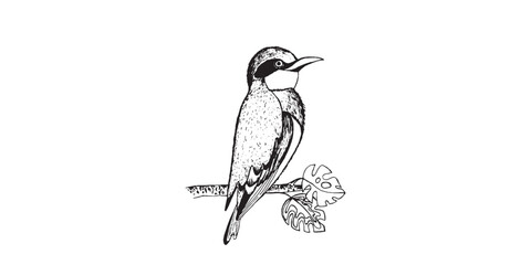 Coloring book happy birds for kids. Funny birds, flowers, leaves and berries. Flat vector illustration with cartoon bird silhouette. Cute characters. Minimalist poster design.